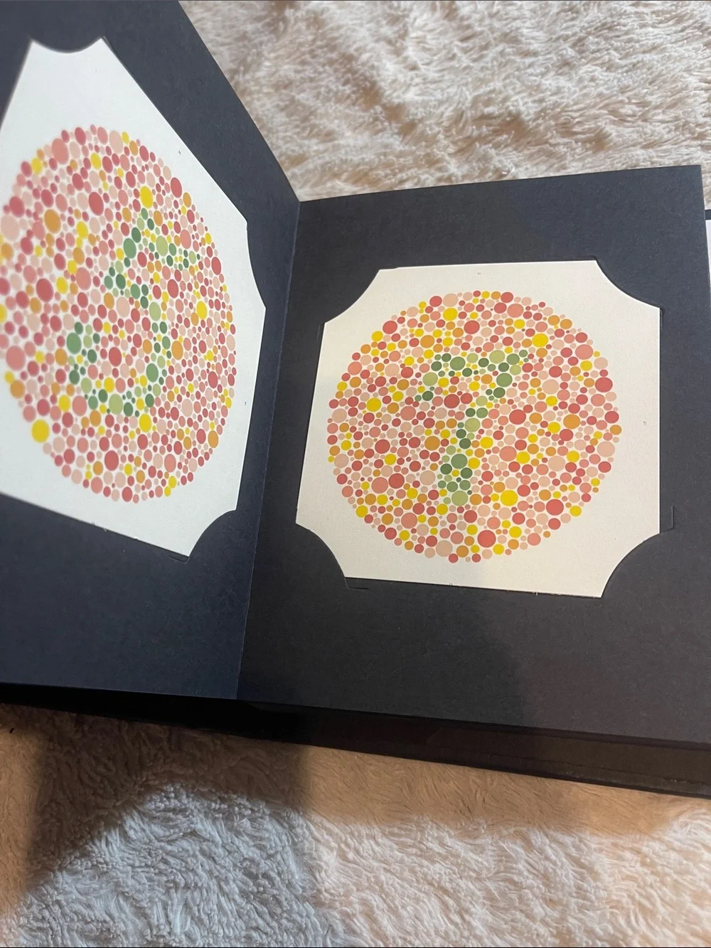 Book for Color Blindness  38 plates, latest edition